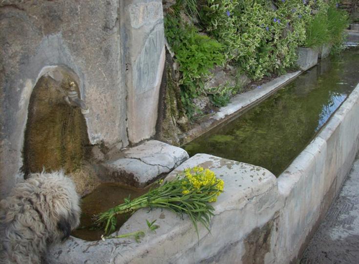 Casa Rural Vilaspasa, Alquiler Integro Gotarta Dış mekan fotoğraf