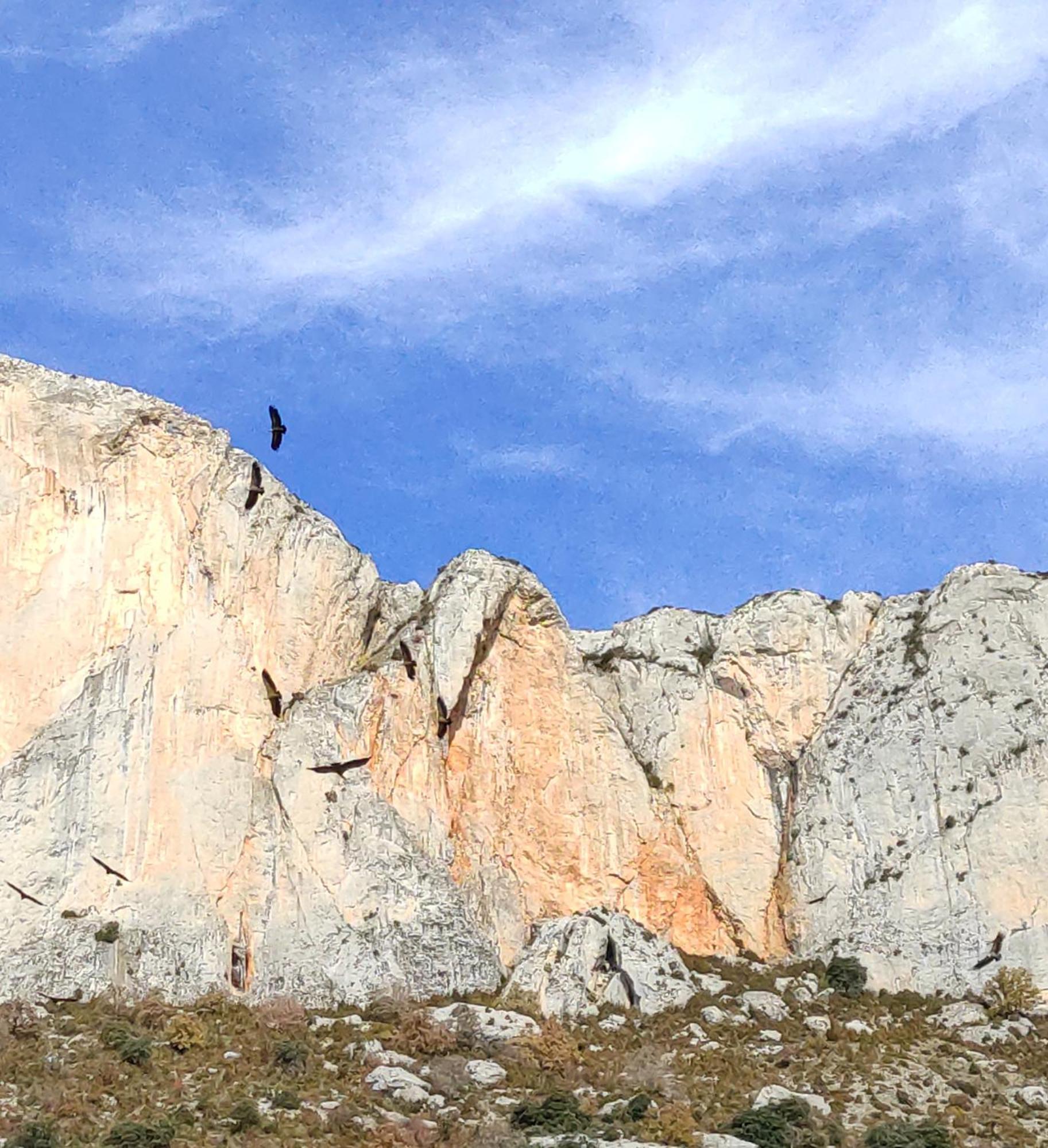 Casa Rural Vilaspasa, Alquiler Integro Gotarta Dış mekan fotoğraf