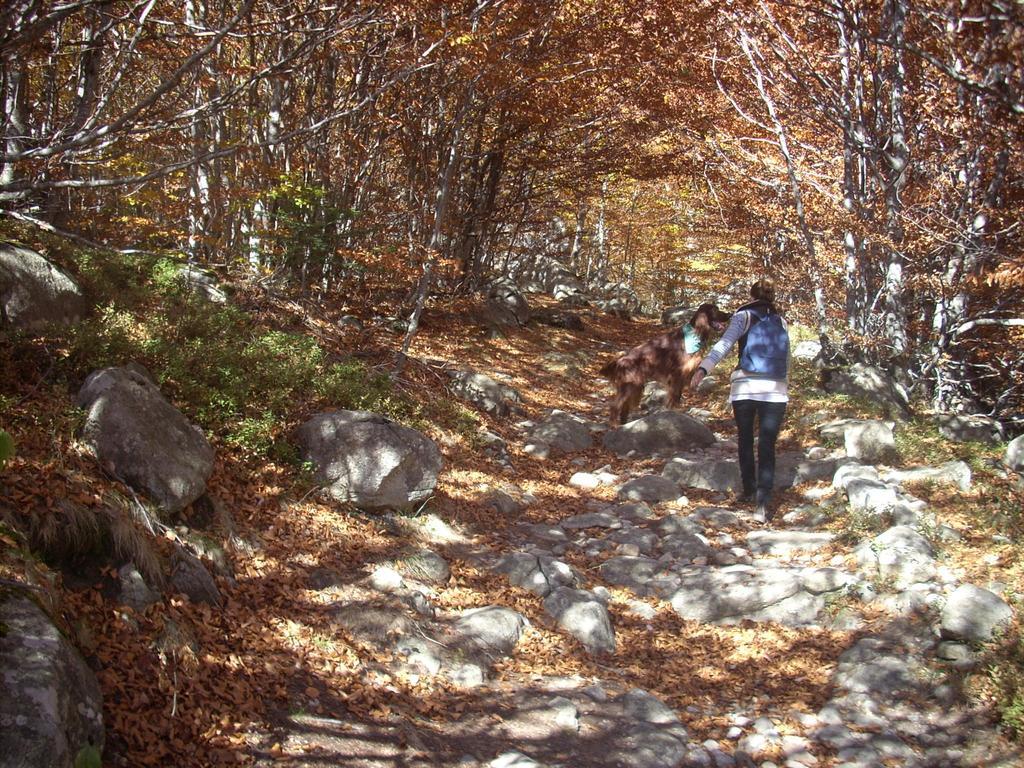 Casa Rural Vilaspasa, Alquiler Integro Gotarta Dış mekan fotoğraf